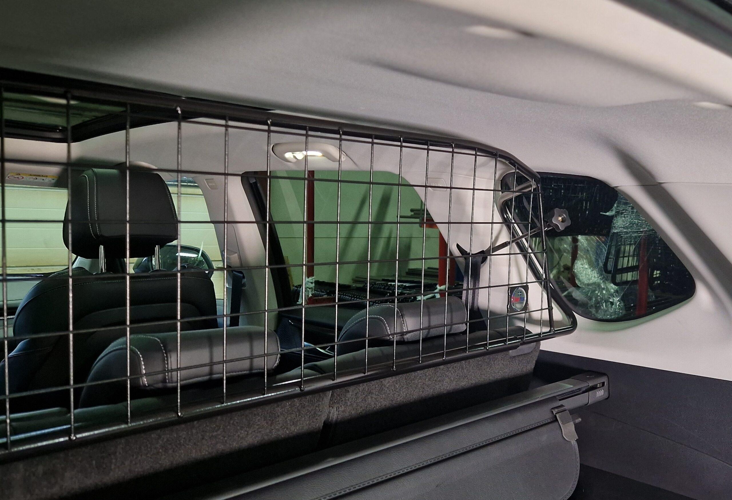maxus1